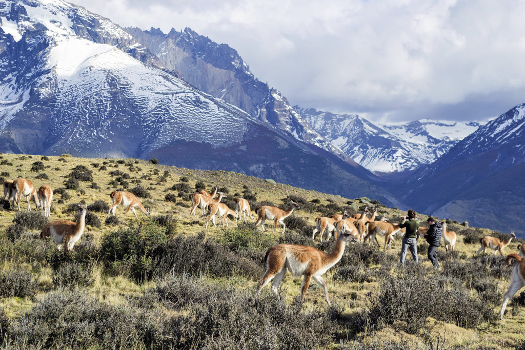 tierra patagonia revista habitare