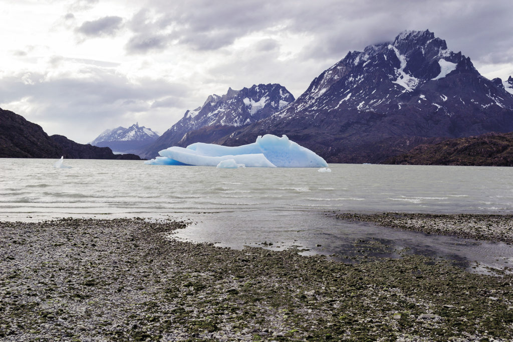 tierra patagonia revista habitare