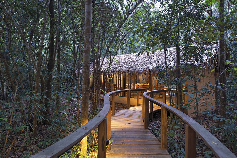 amazônica revista habitare