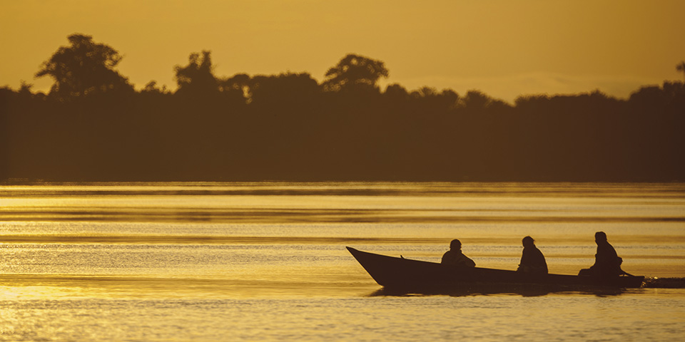 amazônica revista habitare