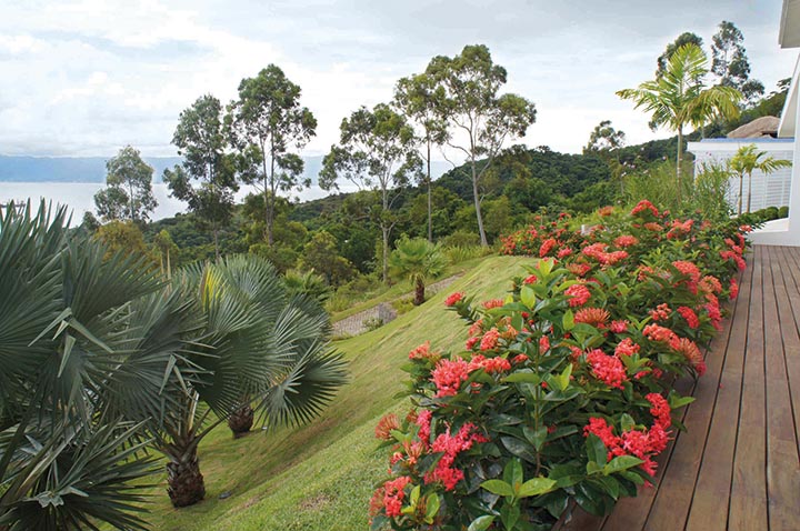 jardim tropical revista habitare