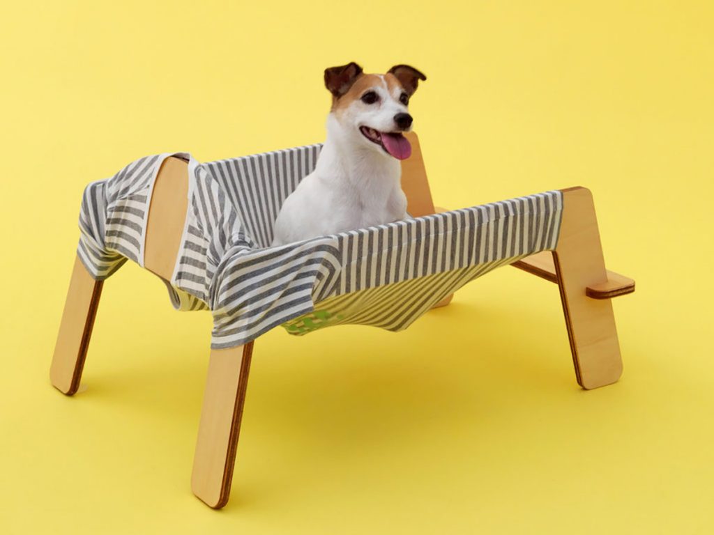 architecture for dogs revista habitare