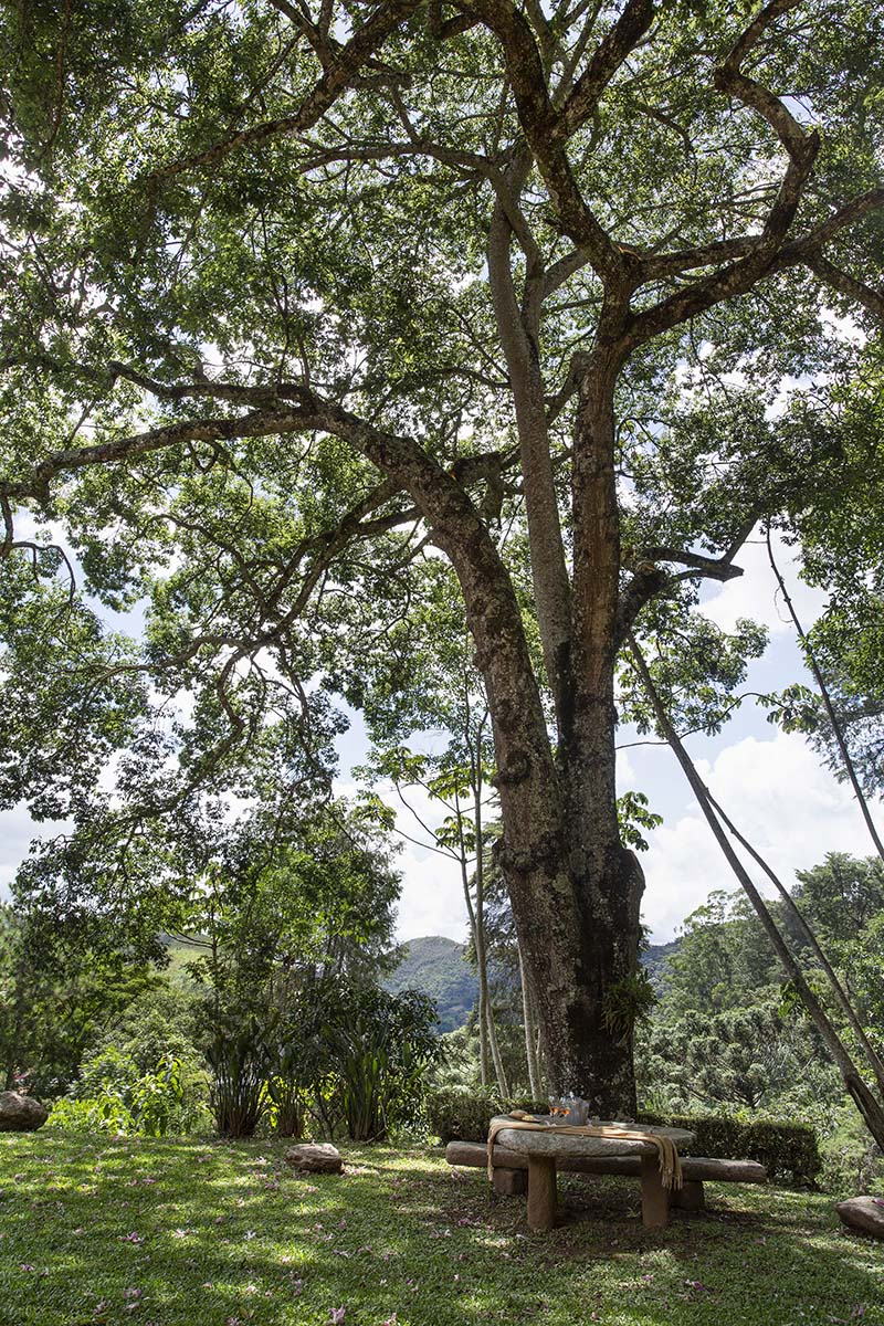 teresópolis revista habitare