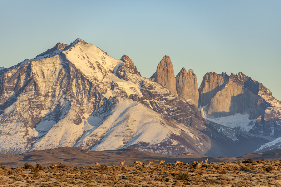 patagonia revista habitare