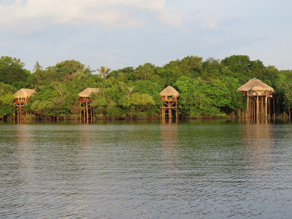 Juma Amazon Lodge propõe que viajantes explorem a selva com conforto e sofisticação